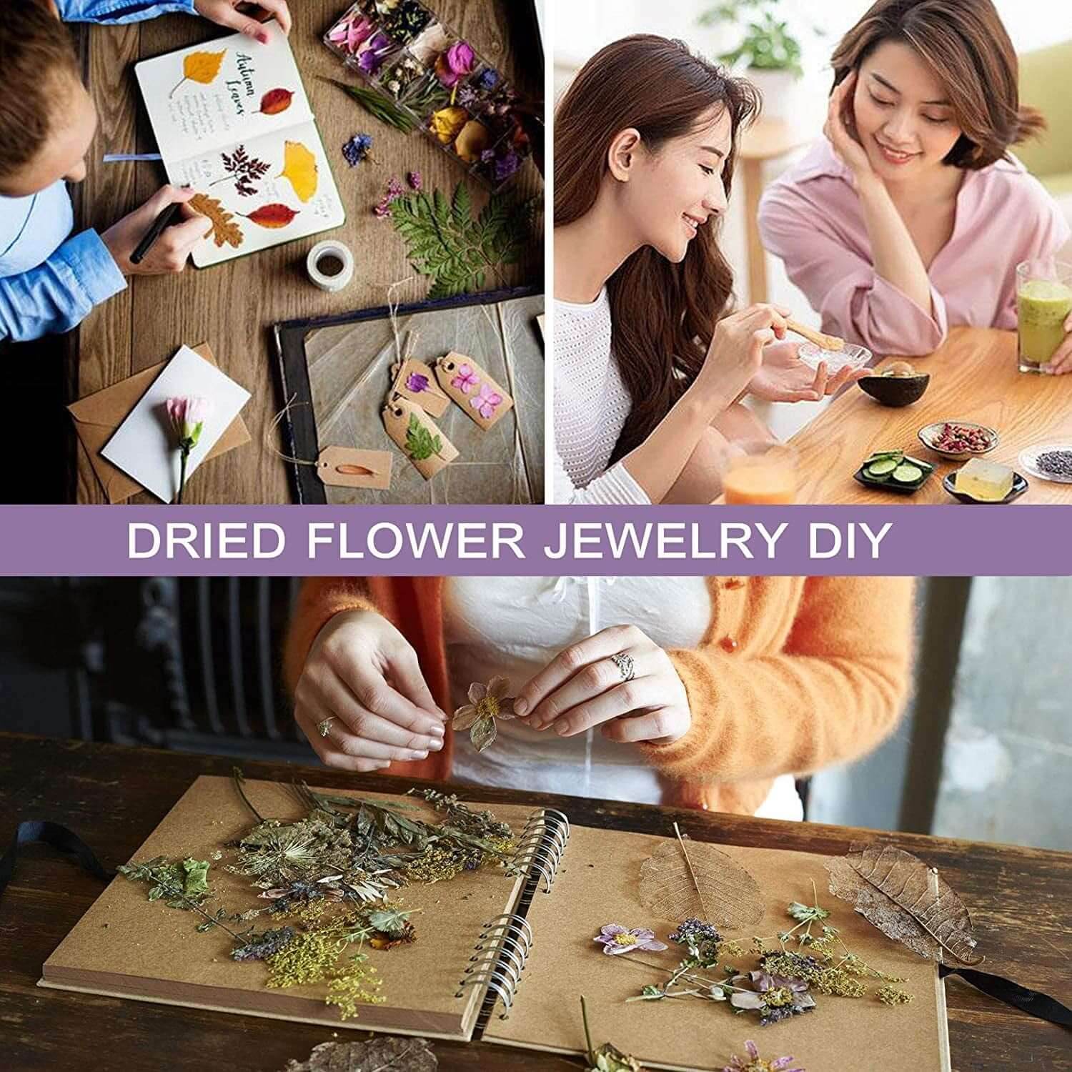 24 Bags Dried Flowers,100% Natural Dried Flowers Herbs Kit for Soap Making, DIY Candle Making,Bath - Include Rose Petals,Lavender,Don'T Forget Me,Lilium,Jasmine,Rosebudsand More - Emily Zen Goddess